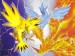 jumbo-zapdos-articuno-moltres.jpg